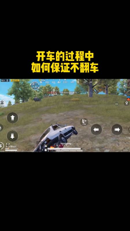 和平精英《迪达拉pro》辅助