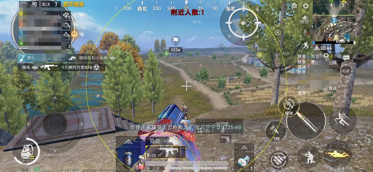和平精英《向日葵》外挂